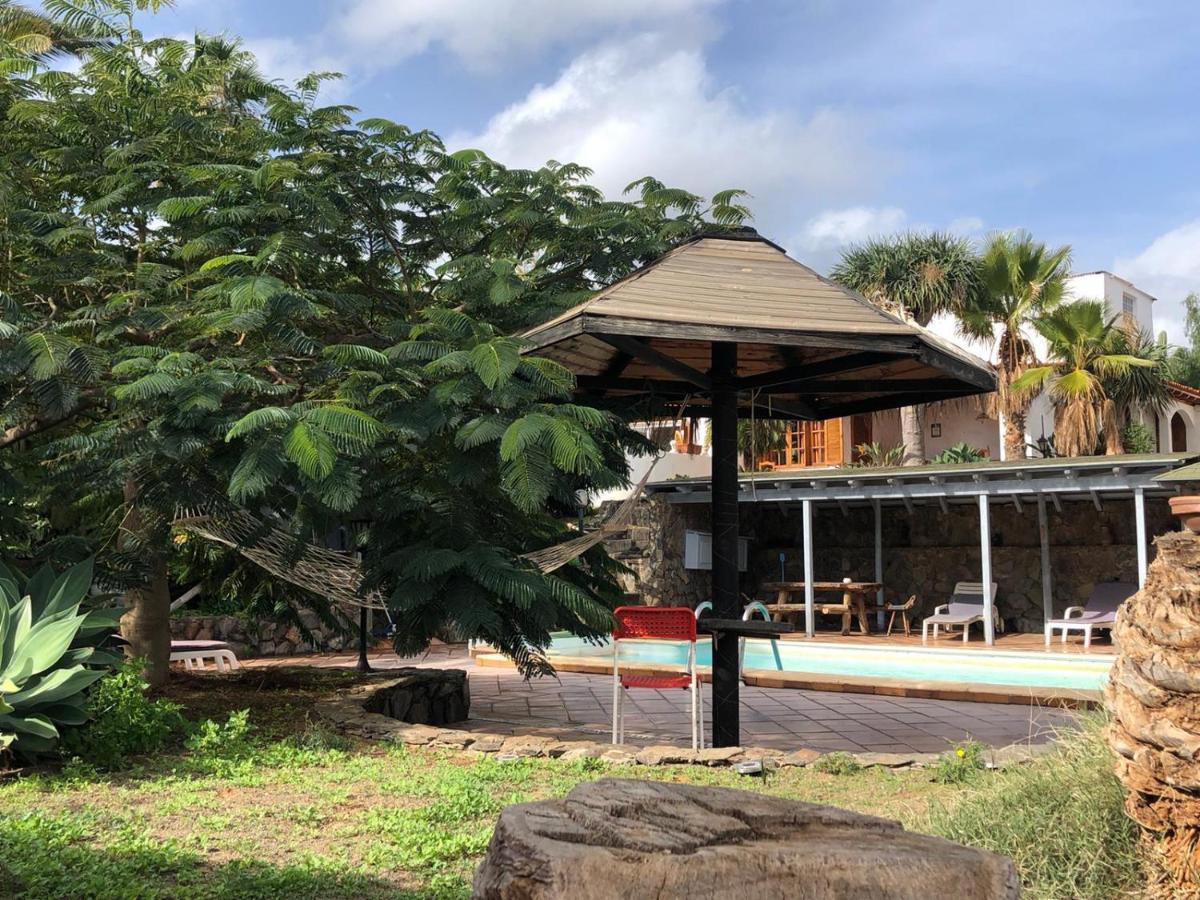 Palmeras Ingenio Ngoại thất bức ảnh