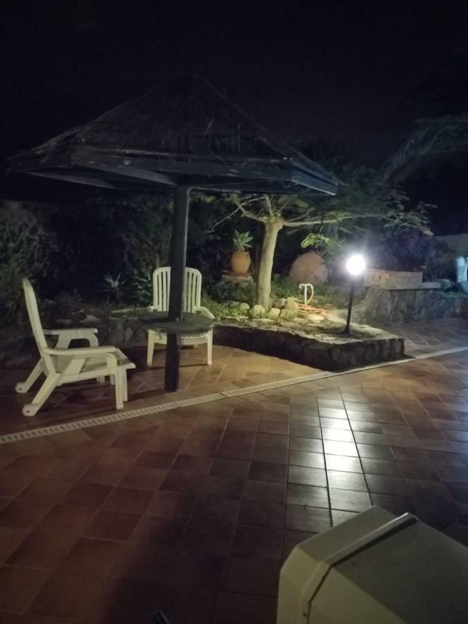 Palmeras Ingenio Ngoại thất bức ảnh