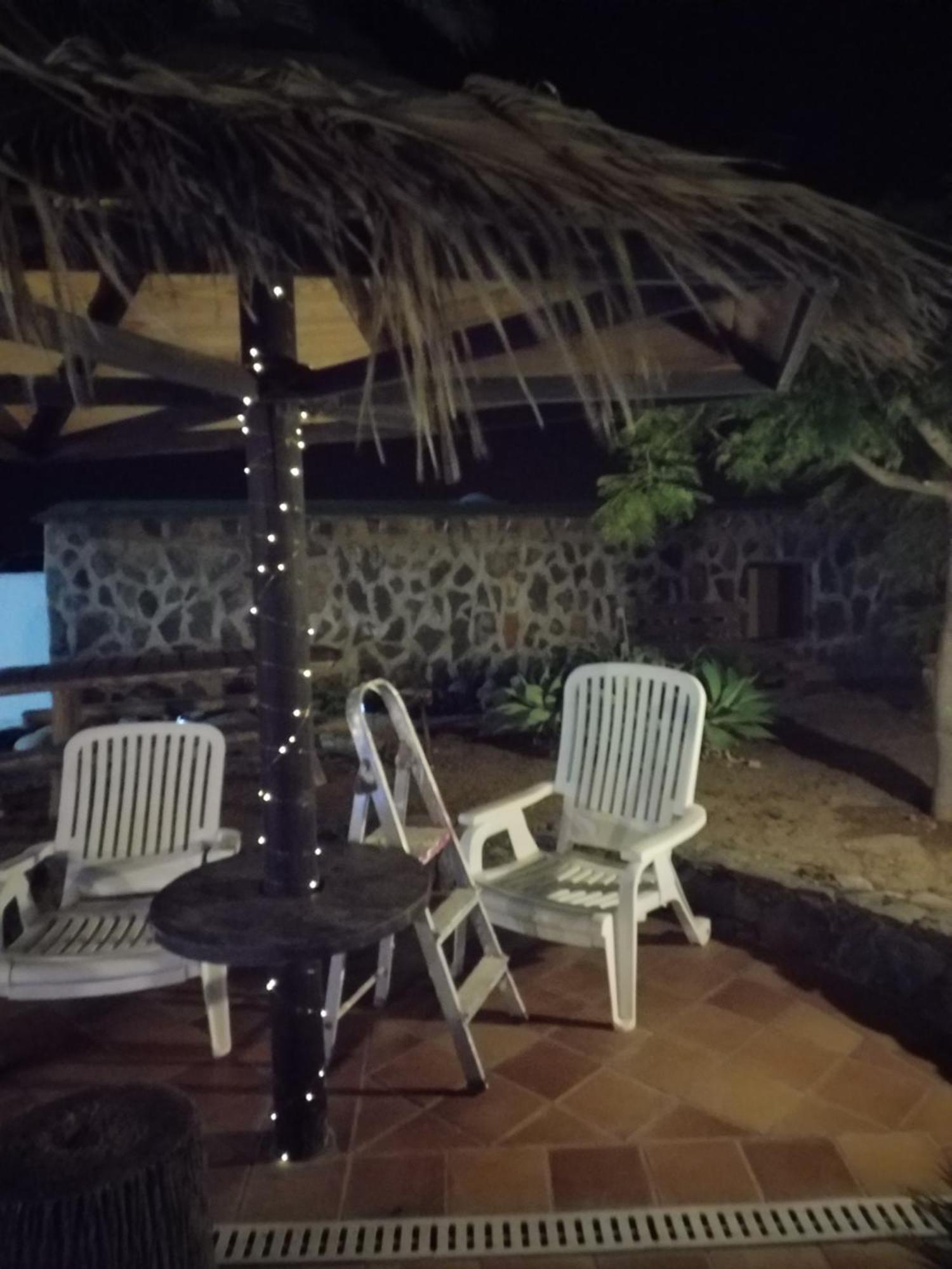 Palmeras Ingenio Ngoại thất bức ảnh